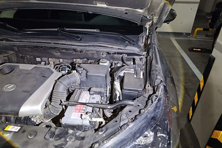 Used Lexus NX 2018 200 Front-Wheel-Drive Xingxing Edition China VI Standard Engine Bay Left