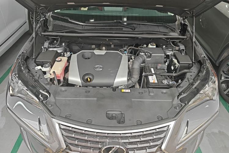 Used Lexus NX 2018 200 Front-Wheel-Drive Xingxing Edition China VI Standard Engine Bay