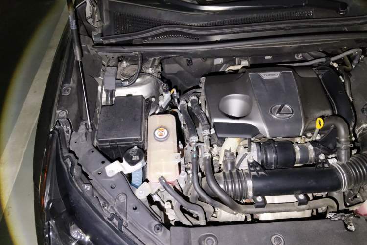 Used Lexus NX 2018 300 Front-Drive Freeline Edition Engine Bay Right