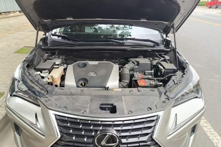 Used Lexus NX 2018 200 All-Wheel Drive FENGSHANG Version China VI Standard Engine Bay