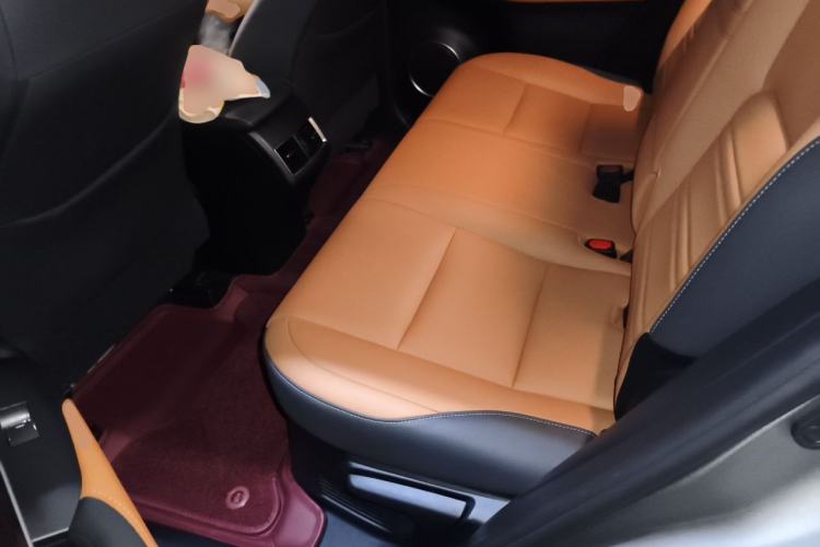 Used Lexus NX 2018 300h All-Wheel-Drive FENGZHI Edition China V Emission Standard Left Rear Seat