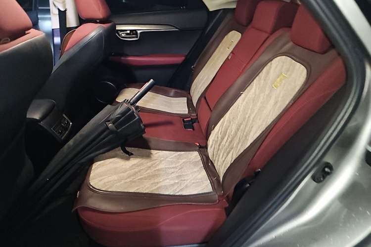 Used Lexus NX 2018 200 Front-Wheel-Drive Xingxing Edition China VI Standard Left Rear Seat