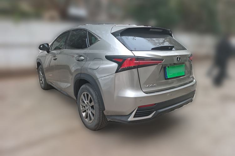 Used Lexus NX 2018 200 Front-Wheel-Drive Xingxing Edition China VI Standard Rear Left 45 Deg
