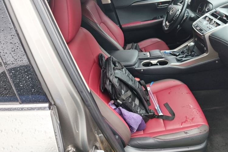 Used Lexus NX 2018 300h Front-Wheel-Drive FENGSHANG Version China V Emission Standard Right Front Seat