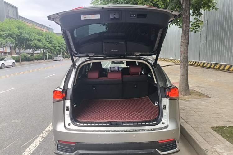 Used Lexus NX 2018 200 All-Wheel Drive FENGSHANG Version China VI Standard Trunk