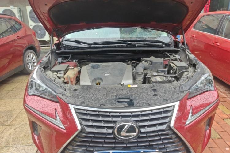 Used Lexus NX 2018 200 Front-Wheel-Drive X-Trail Version China V Standard Engine Bay