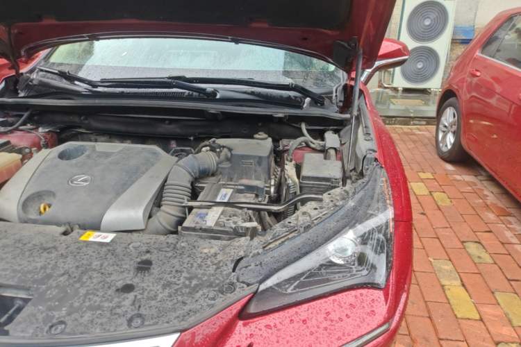 Used Lexus NX 2018 200 Front-Wheel-Drive X-Trail Version China V Standard Engine Bay Left