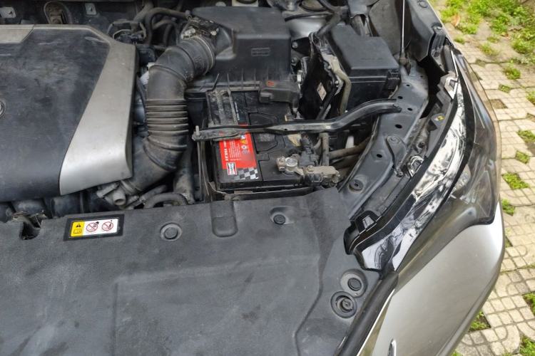 Used Lexus NX 2018 200 Front-Wheel-Drive X-Trail Version China V Standard Engine Bay Left