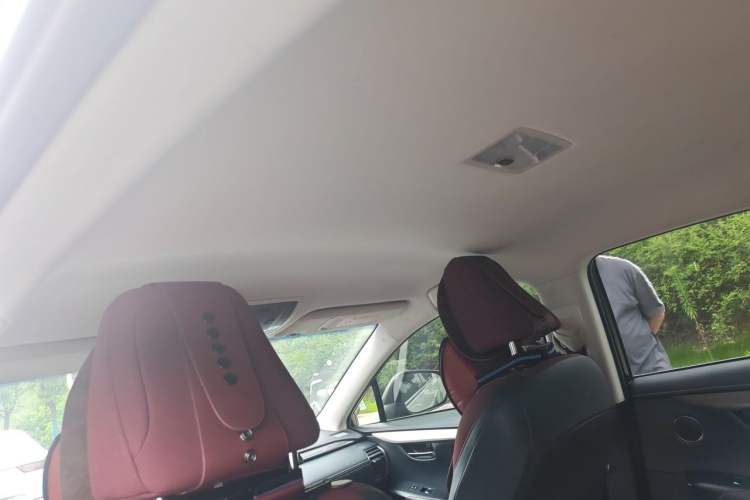 Used Lexus NX 2018 200 Front-Wheel-Drive X-Trail Version China V Standard Headliner