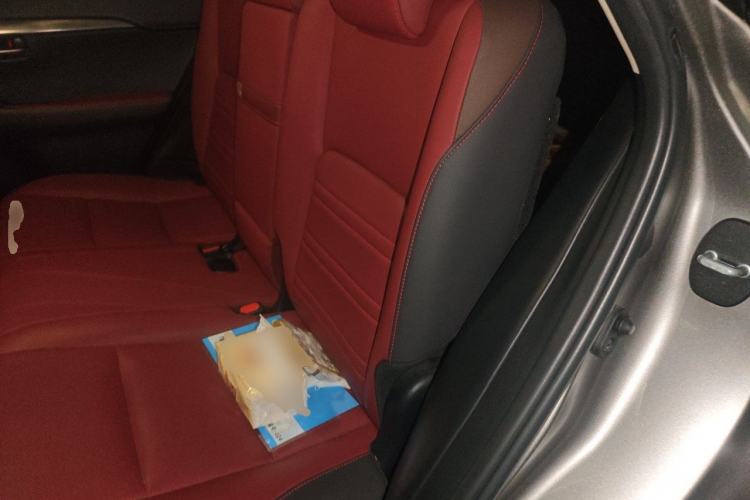 Used Lexus NX 2018 300 Front-Drive Freeline Edition Left Rear Seat