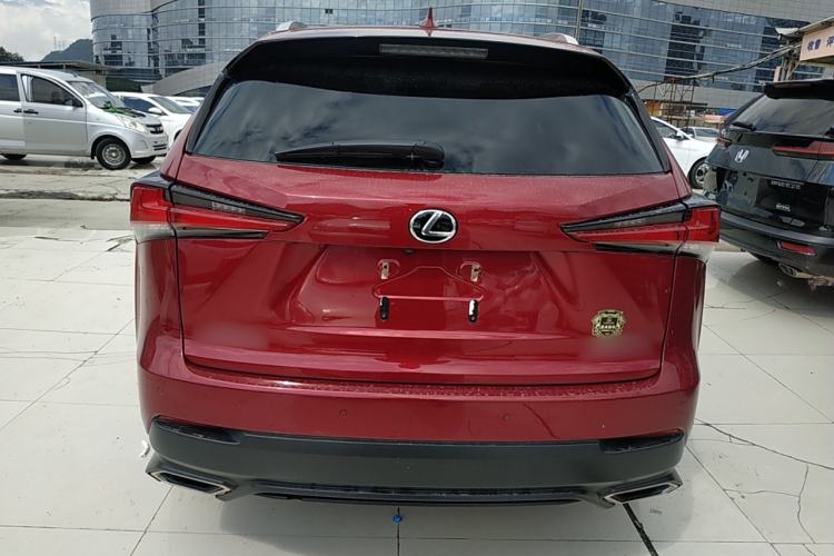 Used Lexus NX 2018 300 All-Wheel Drive Fēngshàng Edition Rear
