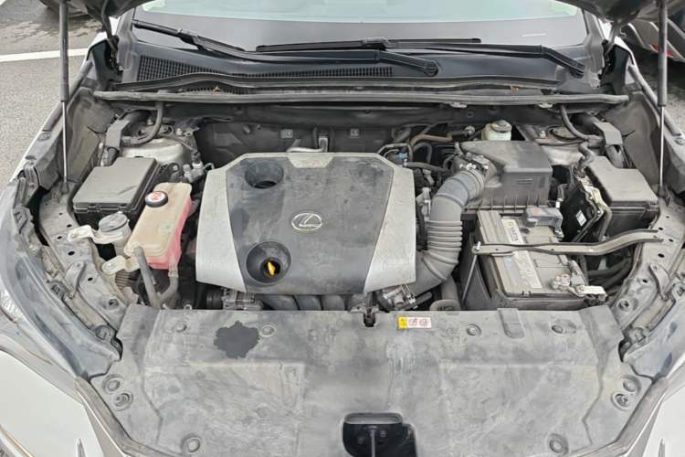 Used Lexus NX 2018 200 Front-Wheel-Drive Xingxing Edition China VI Standard Engine Bay