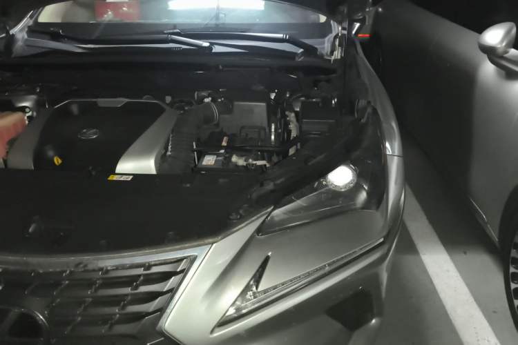 Used Lexus NX 2018 200 All-Wheel Drive FENGSHANG Version China VI Standard Engine Bay Left
