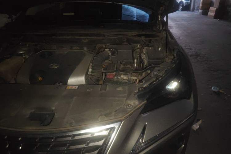 Used Lexus NX 2018 200 Front-Wheel-Drive X-Trail Version China V Standard Engine Bay Left