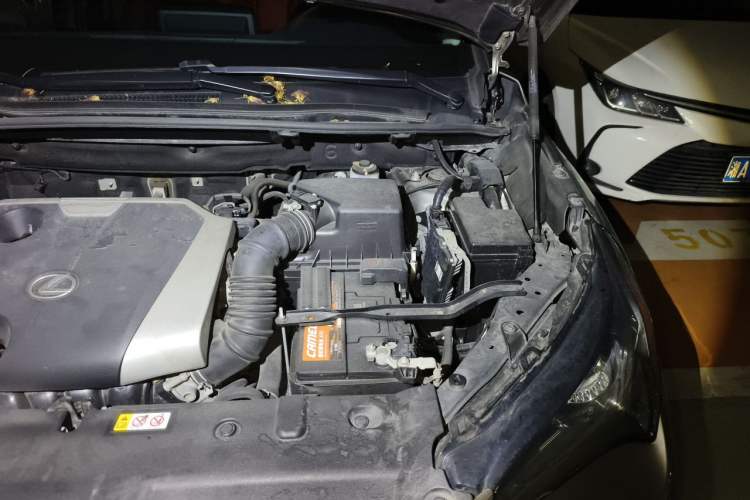 Used Lexus NX 2018 200 Front-Wheel-Drive X-Trail Version China V Standard Engine Bay Left