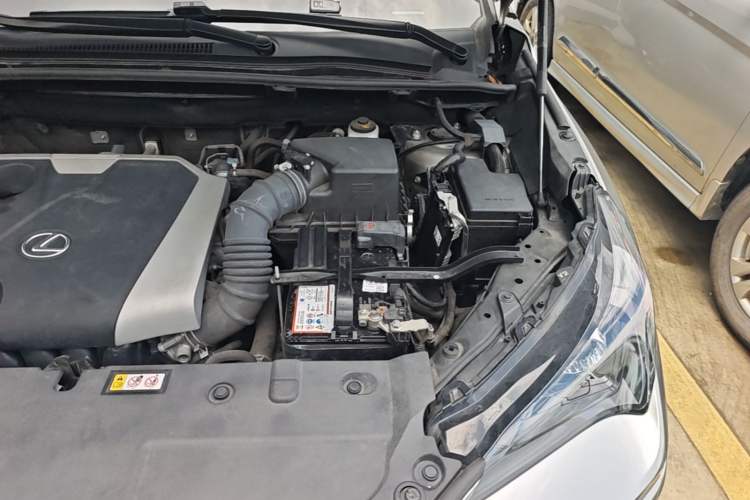 Used Lexus NX 2018 200 Front-Wheel-Drive X-Trail Version China V Standard Engine Bay Left
