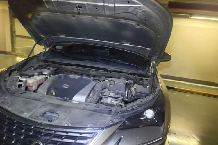 Used Lexus NX 2018 200 All-Wheel Drive FENGSHANG Version China VI Standard Engine Bay Left
