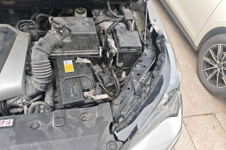 Used Lexus NX 2018 200 Front-Wheel-Drive X-Trail Version China V Standard Engine Bay Left