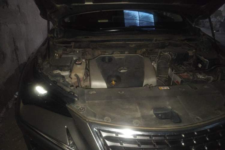 Used Lexus NX 2018 200 Front-Wheel-Drive X-Trail Version China V Standard Engine Bay Right