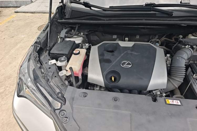 Used Lexus NX 2018 200 Front-Wheel-Drive X-Trail Version China V Standard Engine Bay Right