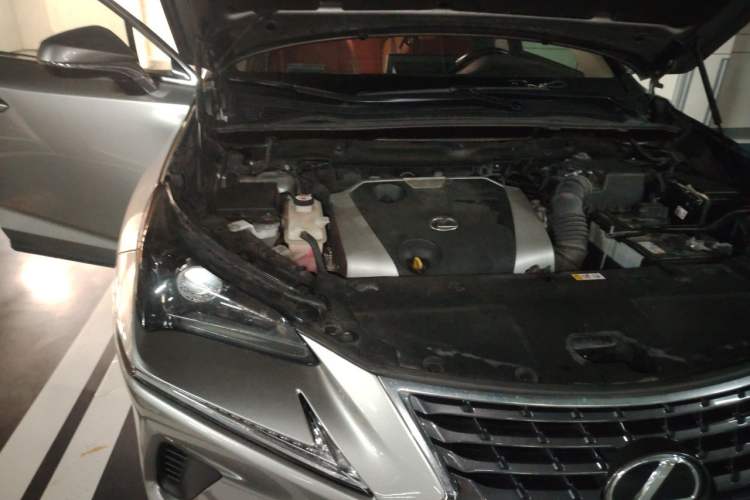 Used Lexus NX 2018 200 Front-Wheel-Drive X-Trail Version China V Standard Engine Bay Right