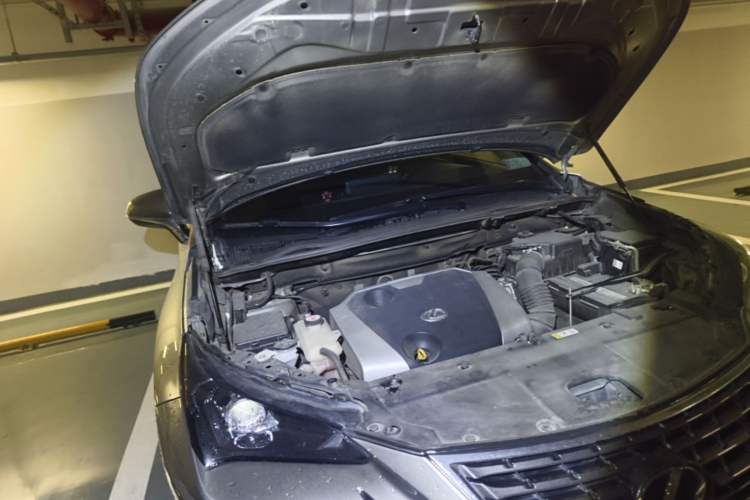 Used Lexus NX 2018 200 All-Wheel Drive FENGSHANG Version China VI Standard Engine Bay Right