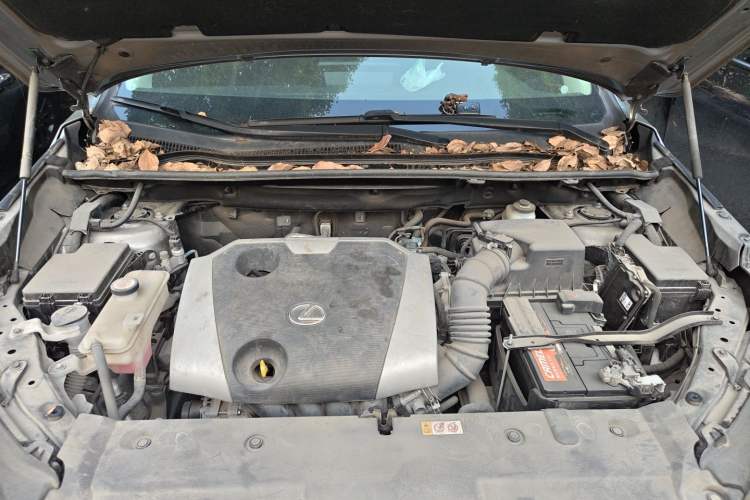 Used Lexus NX 2018 200 Front-Wheel-Drive X-Trail Version China V Standard Engine Bay