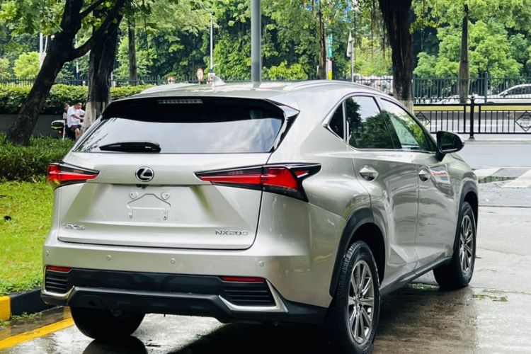 Used Lexus NX 2018 200 All-Wheel Drive FENGSHANG Version China VI Standard Exterior 3