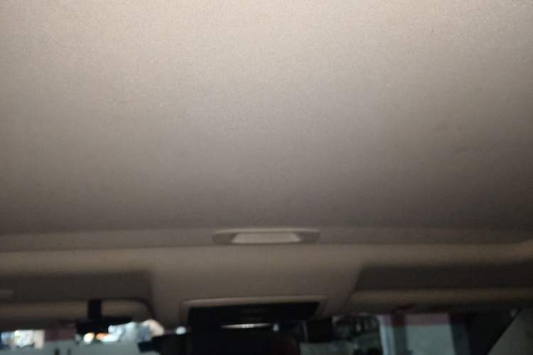 Used Lexus NX 2018 300h Front-Wheel-Drive FENGSHANG Version China V Emission Standard Headliner