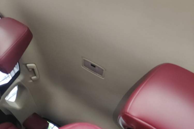 Used Lexus NX 2018 200 Front-Wheel-Drive Xingxing Edition China VI Standard Headliner