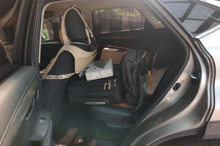 Used Lexus NX 2018 300 Front-Drive Freeline Edition Left Rear Seat