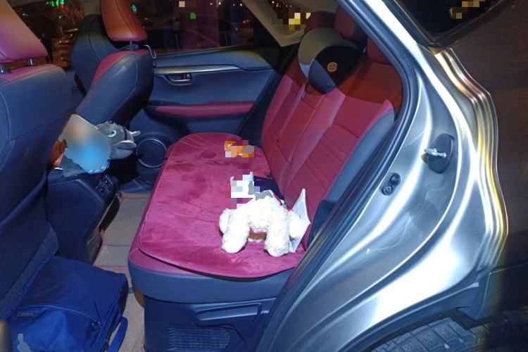 Used Lexus NX 2018 300 Front-Drive Freeline Edition Left Rear Seat