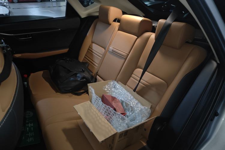 Used Lexus NX 2018 300h All-Wheel-Drive FENGZHI Edition China V Emission Standard Left Rear Seat