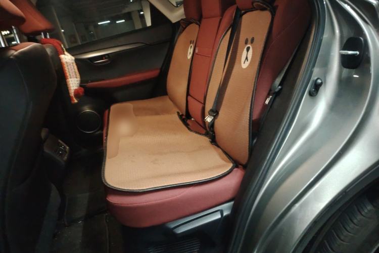 Used Lexus NX 2018 200 Front-Wheel-Drive X-Trail Version China V Standard Left Rear Seat