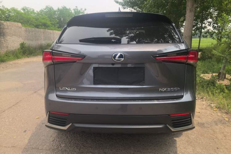 Used Lexus NX 2018 300h All-Wheel-Drive FENGZHI Edition China V Emission Standard Rear