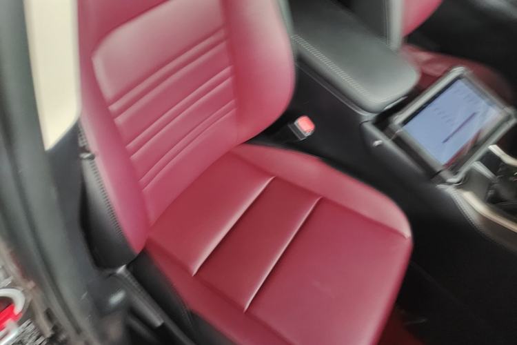 Used Lexus NX 2018 200 Front-Wheel-Drive Xingxing Edition China VI Standard Right Front Seat