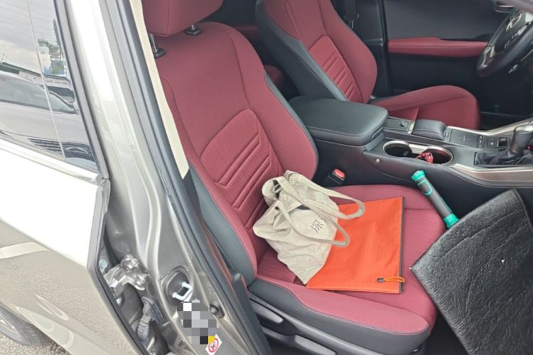 Used Lexus NX 2018 200 Front-Wheel-Drive Xingxing Edition China VI Standard Right Front Seat