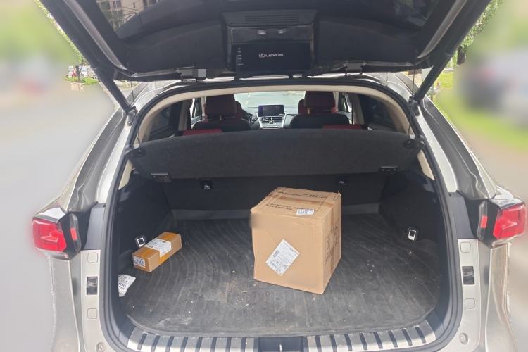 Used Lexus NX 2018 300 Front-Drive Freeline Edition Trunk