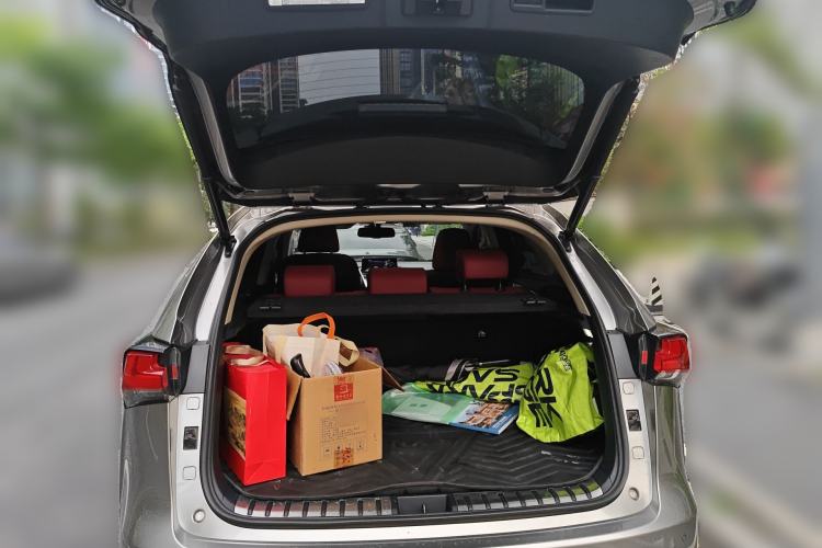 Used Lexus NX 2018 300 Front-Drive Freeline Edition Trunk