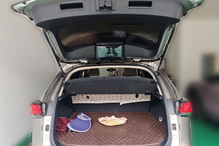 Used Lexus NX 2018 200 Front-Wheel-Drive X-Trail Version China V Standard Trunk