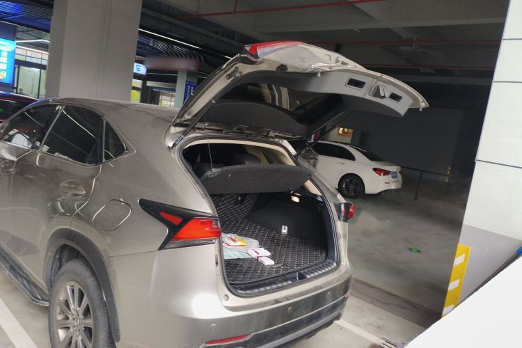 Used Lexus NX 2018 200 Front-Wheel-Drive Xingxing Edition China VI Standard Trunk