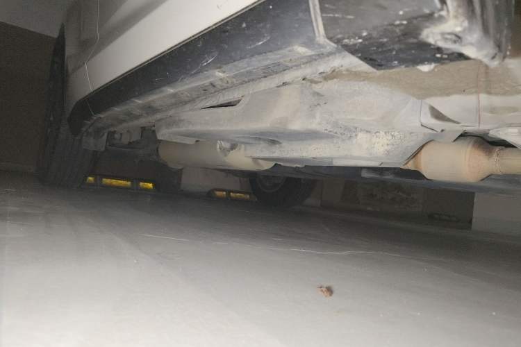 Used Lexus NX 2018 200 All-Wheel Drive FENGSHANG Version China VI Standard Chassis Front Right