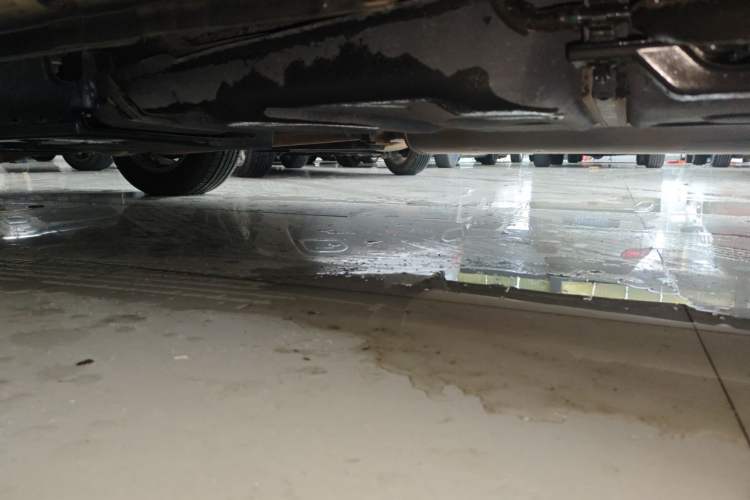 Used Lexus NX 2018 300 Front-Drive Freeline Edition Chassis Rear Left