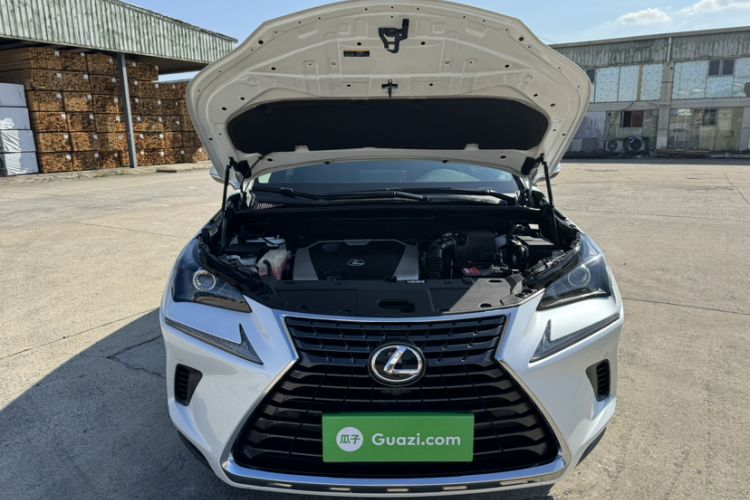 Used Lexus NX 2018 200 Front-Wheel-Drive Xingxing Edition China VI Standard Engine Bay