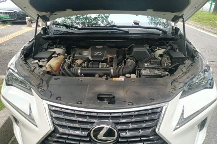 Used Lexus NX 2018 300 Front-Drive Freeline Edition Engine Bay