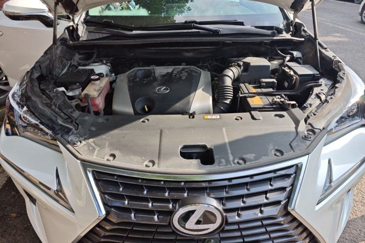 Used Lexus NX 2018 200 Front-Wheel-Drive Xingxing Edition China VI Standard Engine Bay