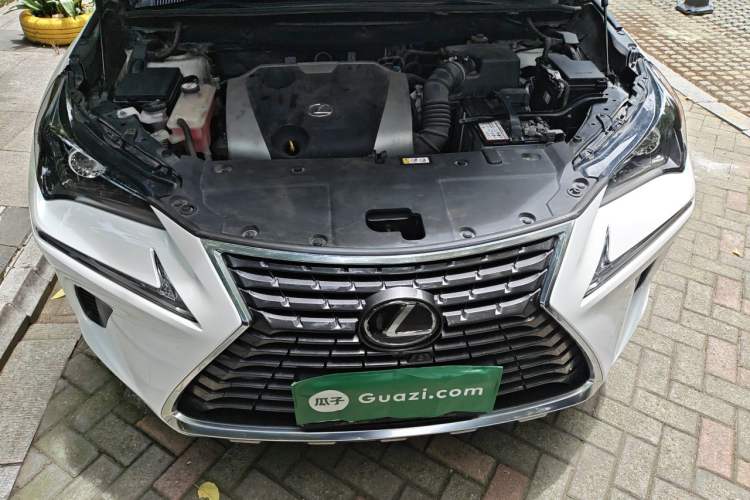 Used Lexus NX 2018 200 All-Wheel Drive FENGSHANG Version China VI Standard Engine Bay