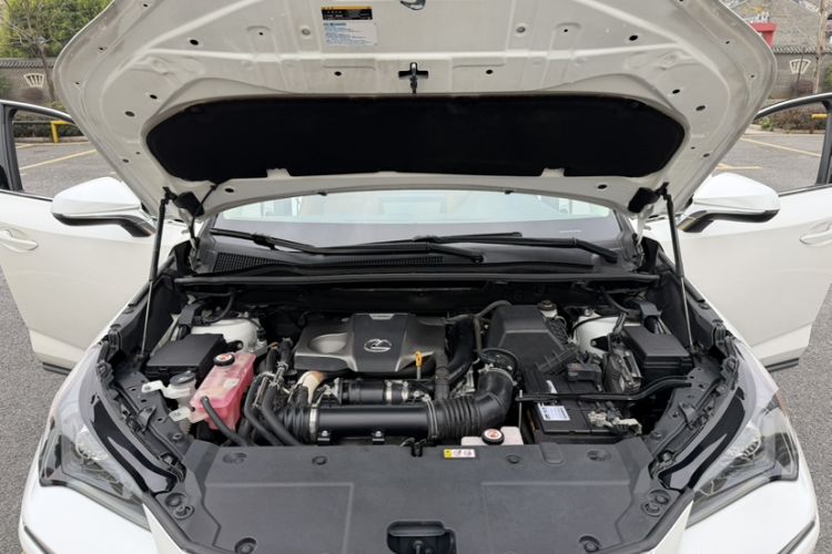 Used Lexus NX 2018 300 Front-Drive Freeline Edition Engine Bay
