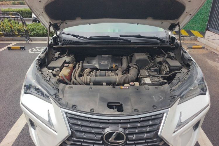Used Lexus NX 2018 300 Front-Drive Freeline Edition Engine Bay
