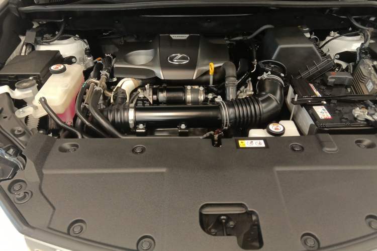 Used Lexus NX 2018 300 All-Wheel Drive Fēngshàng Edition Engine Bay